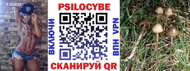 Галлюциногенные грибы Psilocybe Холм